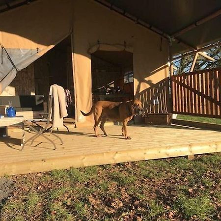 Lapwing Safari Tent Cheltenham Extérieur photo