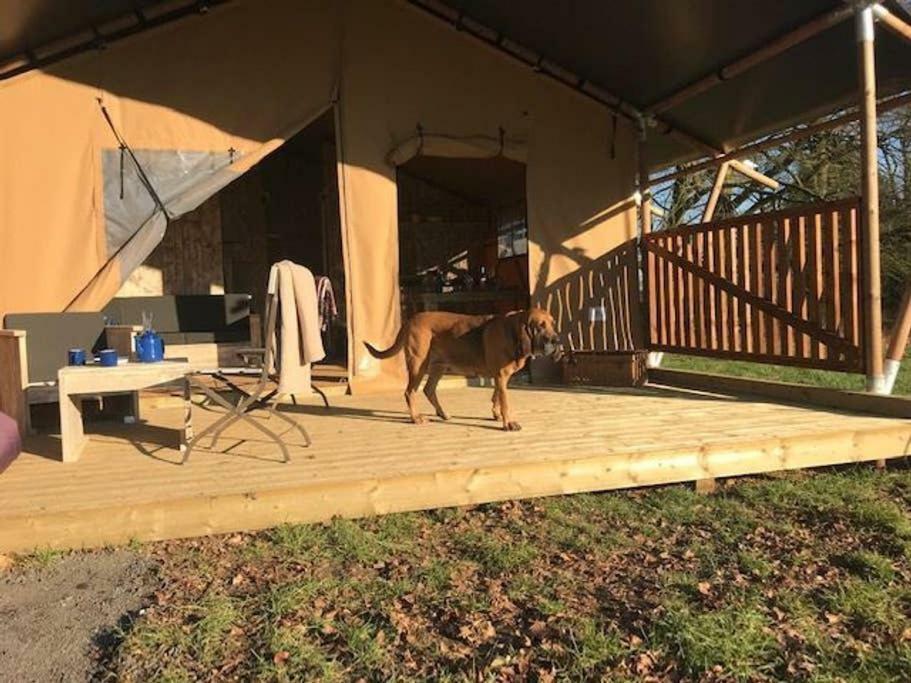 Lapwing Safari Tent Cheltenham Extérieur photo